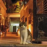 Hotel Adelya Cave Göreme
