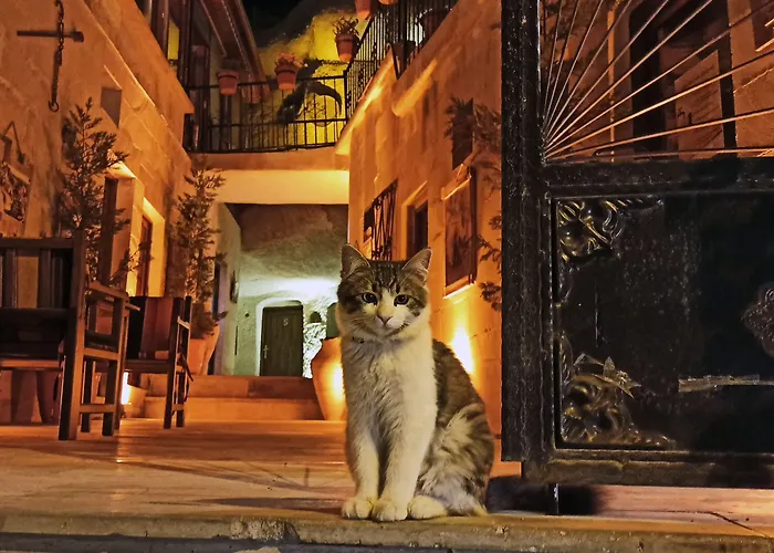 Hotel Adelya Cave Goreme